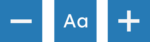 reciteme-tools-3- ReciteMe text options toolbar